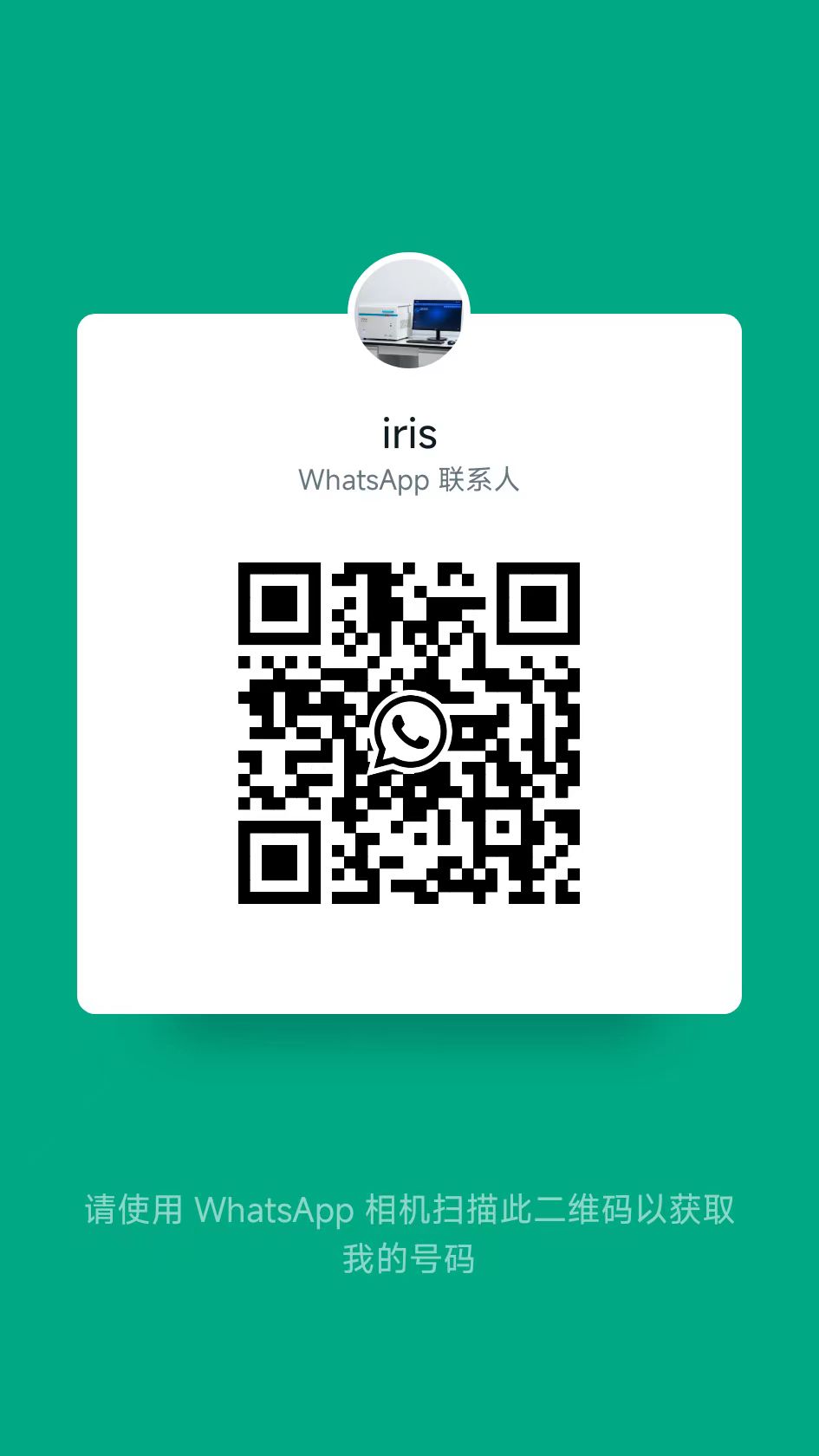 WhatsApp二维码